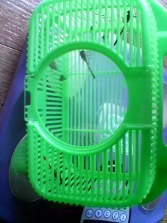 060815_0930~01.jpg